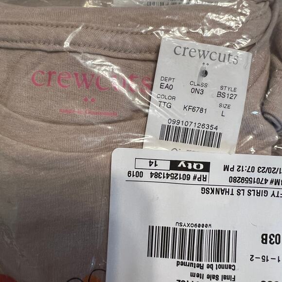 NWT J. Crew Girls' Beige Thanksgiving Turkey Long Sleeve Graphic Tee - Picture 5 of 8